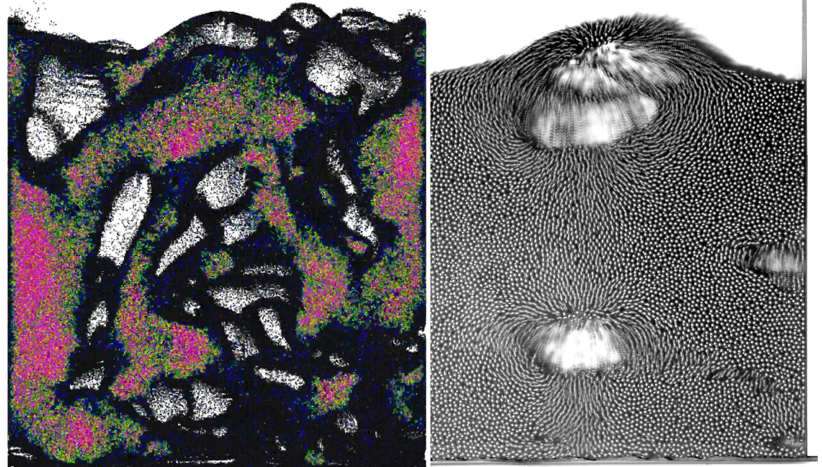 粒子系混相流研究室（田中研究室）では粒子を含む流れの物理と数値シミュレーションに関する研究を行っています。